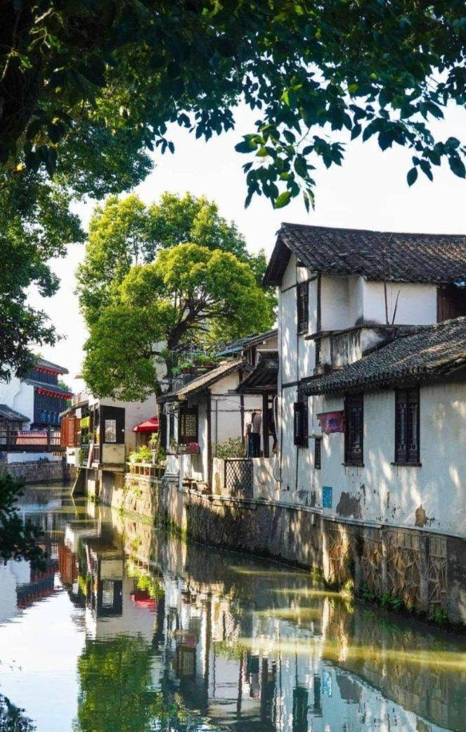 活力、热辣、文艺！这场艺术节带你认识不一样的高新区